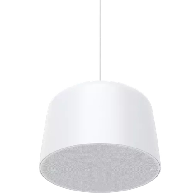 AXIS C1510 Network Pendant Speaker – Large